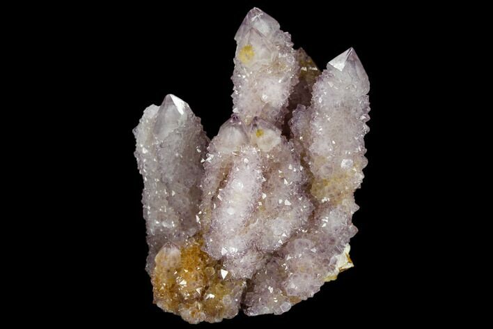 Cactus Quartz (Amethyst) Cluster - South Africa #115120